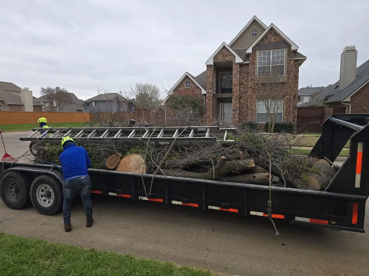 Expert Lot Clearing with proper safety equipment in Smithfield